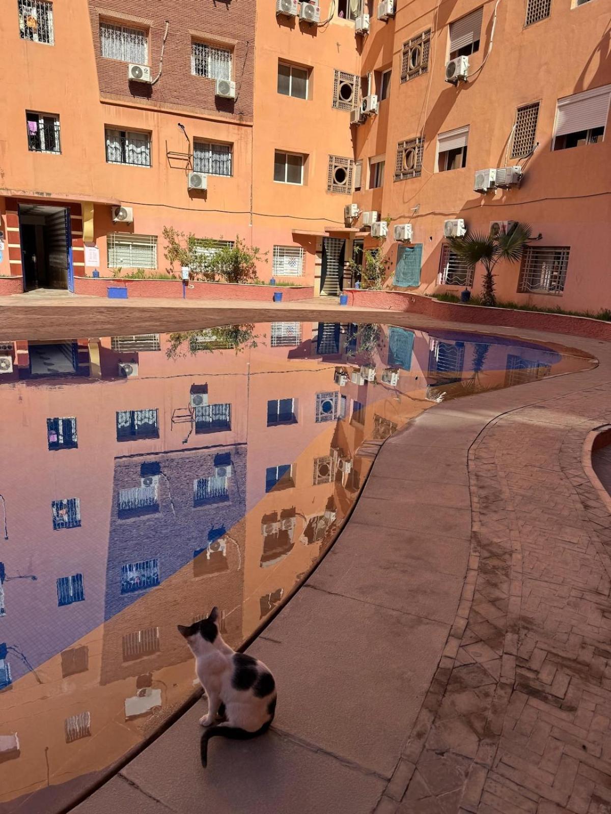Authentic Style In Marrakech *
